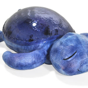 Tortuga Tranquila, Océano