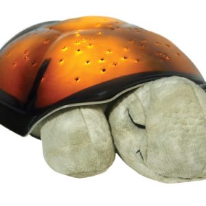 import placeholder for 193